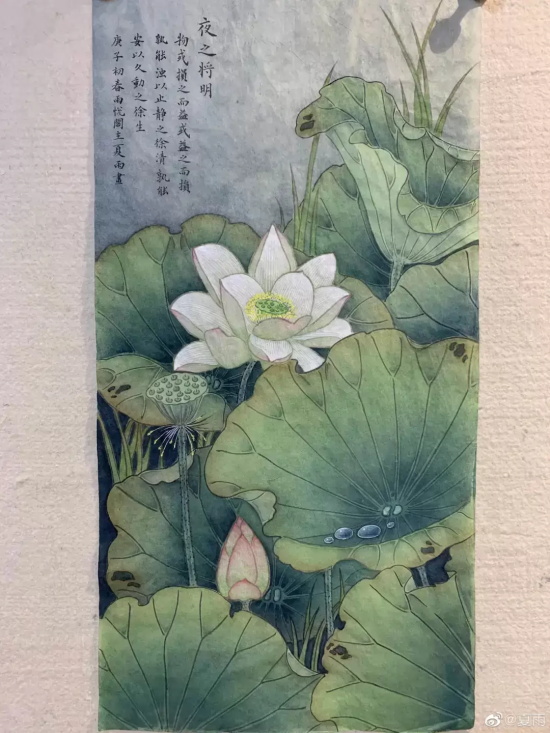 夏雨袁泉什么时候结的婚的（娱乐圈模范夫妻袁泉夏雨婚纱照）