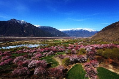 ​3月国内旅游打卡胜地：这些地方一旦错过就得再等一年，