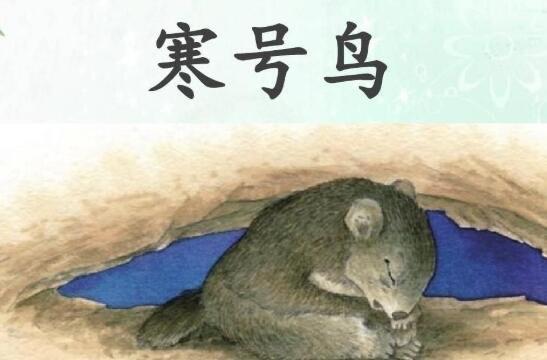 历史寒号鸟的故事告诉我们什么道理？寒号鸟讲了什么故事？  1