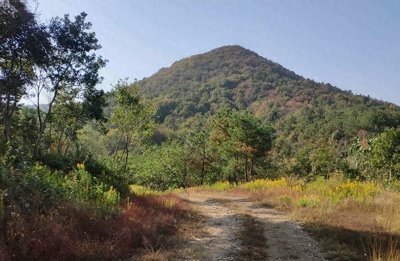 ​解秘抗战时期灵异事件：南京青龙山一个团神秘消失，原因颠覆认知