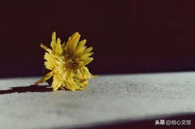 ​不信抬头看苍天饶过谁前一句（举头三尺有神明完整句）