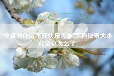 仝卓为什么不在快乐大本营了(快乐大本营仝卓怎么了)