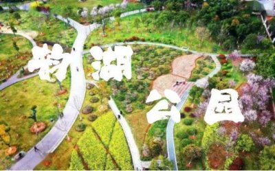​东湖高新区迎接中秋国庆佳节扮靓城市“方寸之美”