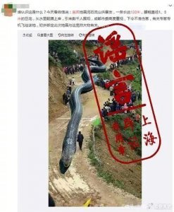 ​净网2019辟谣巨龙引发宜宾地震泥石流？这则“奇闻”的漏洞有点多