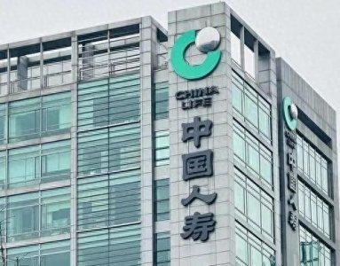 ​中国人寿保险（集团）公司董事长，蔡希良简介