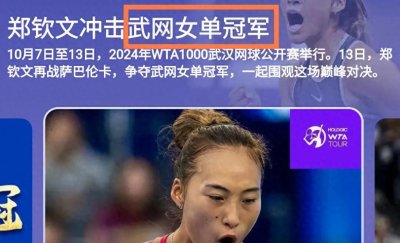​武网：它的起始、级别以及它一路走来的历史沿革