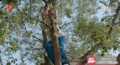 ​《那年花开月正圆》吴聘竟是被毒杀七窍流血而死