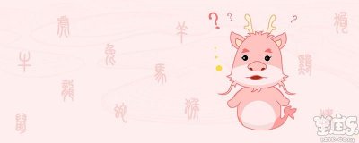 属龙和属狗配吗