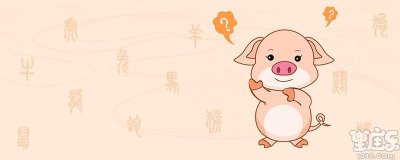 属猪的和什么属相最配