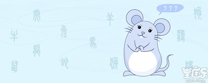 生肖鼠和马相配
