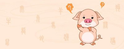 猪的年龄今年多大年龄