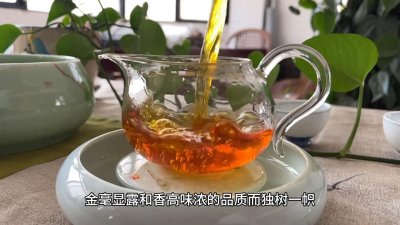 ​云南红茶，滇红茶简介