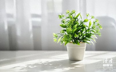 “不把钱交给老婆管的男人,都是怎么想的?”丈夫们 的回答,惊人一致