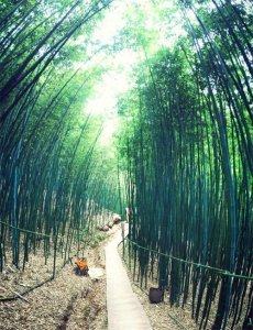 ​你知道白鹿原的来历吗？（中）