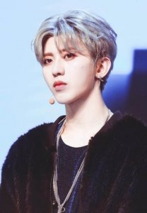 揭秘各明星的粉丝名 蔡徐坤“ikun” 邓伦"灯芯" 肖战"小飞侠"