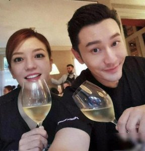 苏有朋为何与赵薇分手 看看与赵薇关系密切的八位明星。 他们是