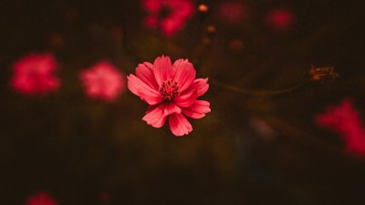 ​一个人爱不爱你，在床上就知道了