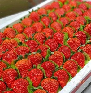 ​丹东八种必吃特色美食！