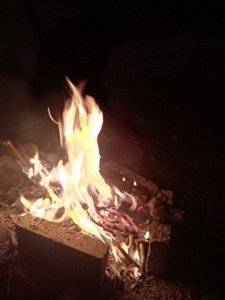 ​读《毛选》（星星之火 可以燎原）有感：在微光中看见未来的自己