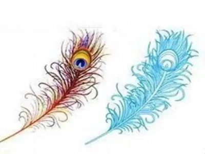 ​孔雀眼指纹我真的不知道，跟着孩子学知识了