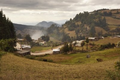 ​“帝王蝶”：北美最常见的蝴蝶之一，也是地球上唯一的迁徙性蝴蝶