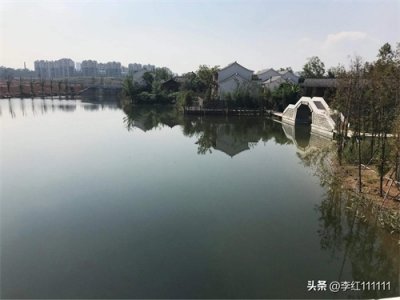 ​右派人物04：罗隆基要求分权