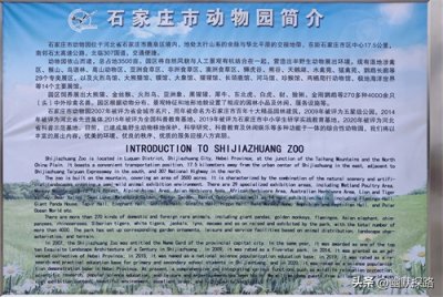 ​石家庄动物园探秘之旅：你不可错过的精彩瞬间！