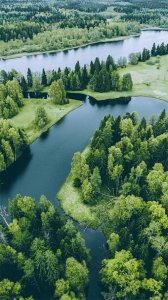 ​养眼绿色小清新壁纸：生命的颜色，希望的颜色