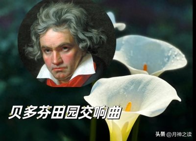 ​人的一生就如同“田园交响曲”一般