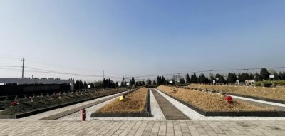 ​这座没有山的城市，为何有“五条岭”？