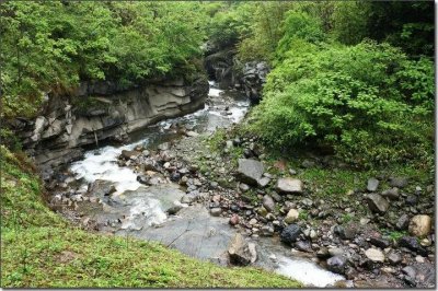 ​神秘的黑竹沟