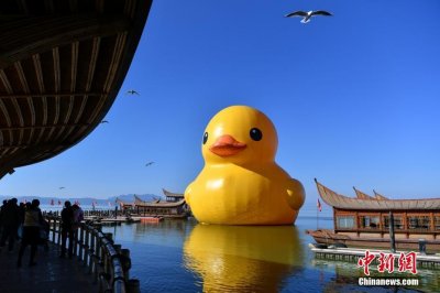 ​“大黄鸭”亮相昆明滇池