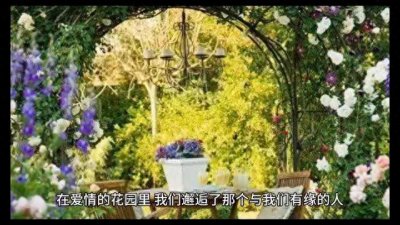 ​情感关系聊一聊在生活中的点点滴滴