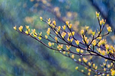 ​夫妻分床睡，暗示了这些结局！别不当回事