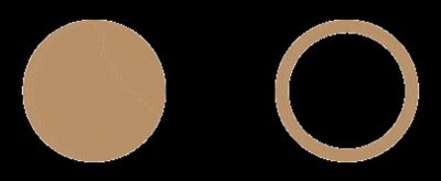 ​河蚌肉为什么很少有人吃?看完深度剖析网友分享后,彻底明白了！