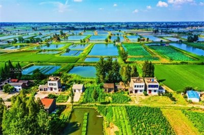 ​富饶的江汉平原为何没有诞生大城市？东边的武汉成名太早了