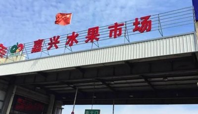 ​水果大型批发市场系列——嘉兴水果批发市场