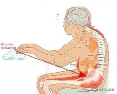 ​腰部训练，7个动作锻炼你的“腰肌”