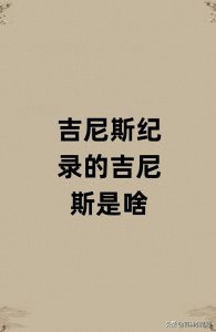 ​吉尼斯纪录的吉尼斯是啥？