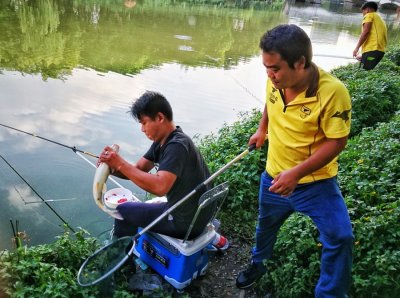 ​新手想学钓鱼，听听老钓鱼人总结的五条野钓经验，少走弯路
