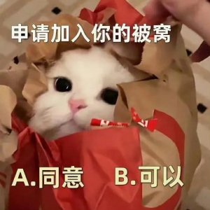 ​速看|情侣之间可以调戏的表情包，咱主打的就是与对象互怼互撩！