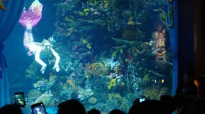 ​“五一”假期，来长风海洋世界看美人鱼