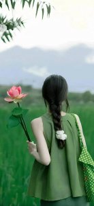 ​高清绿色护眼壁纸，送给你～我喜欢第 8 张，你呢