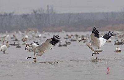 ​中国五大淡水湖
