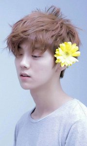 ​鹿晗为什么突然不火了？背后折射出什么，蔡徐坤面临同样危机？