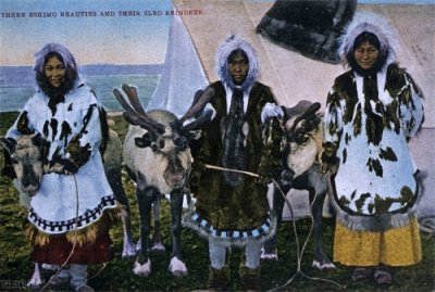 ​从分子人类学看现代人的起源与迁徙7——印第安人与印欧人