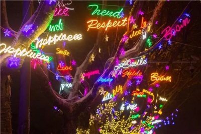 ​只要你乖给你买条gai?这么美的街你买得到吗？西海岸这几条“网红路”火了！