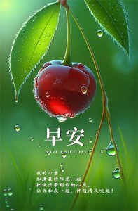 ​早安壁纸——早上问好，绿色护眼美图16张