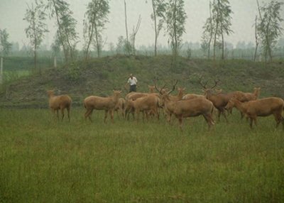 ​江苏泰州旅游景点介绍，泰州旅游必去的五个景点，泰州好玩的景点