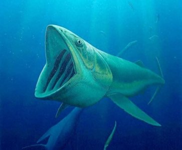 ​地球古生物——利兹鱼